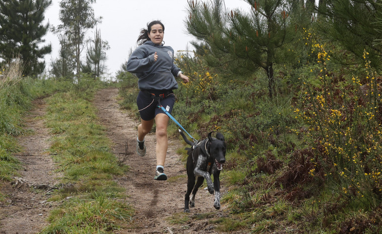 El Club Kennel Den domina en el circuito de Renza