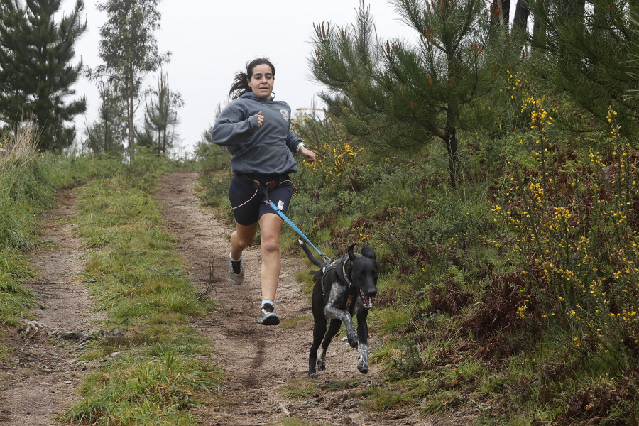 El Club Kennel Den domina en el circuito de Renza