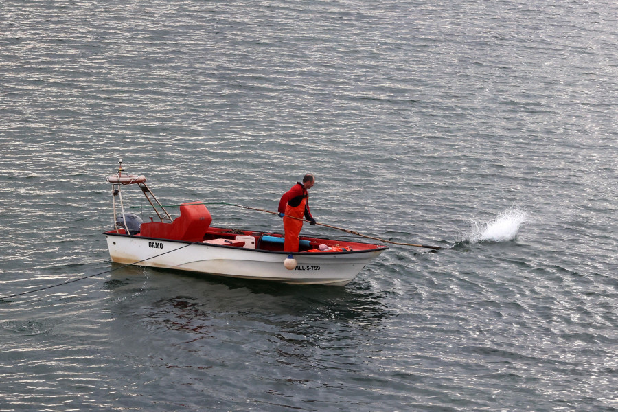 Desastre en la apertura del marisqueo a flote en Cambados: “Os bancos non están para explotar”