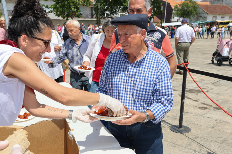 Ribadumia busca trabajadores para la Festa do Tinto