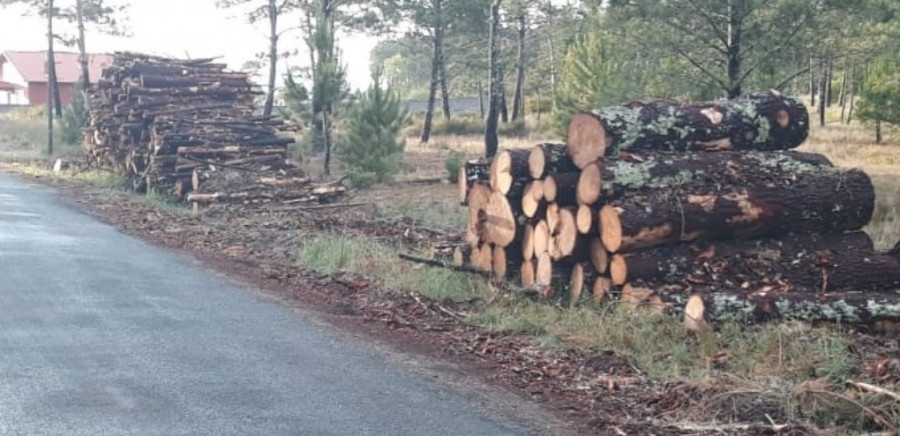 Comuneros de Olveira se plantean una querella a Medio Ambiente por la ocultación de datos de talas de madera