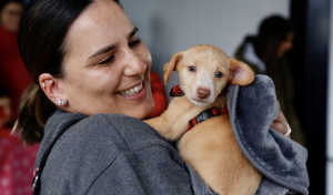 Búscate en la Andaina Solidaria por el Refugio de Cambados