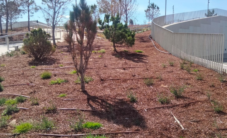 El PSOE de Sanxenxo denuncia una “total falla de mantemento” en la Batea en Tierra de Nauta