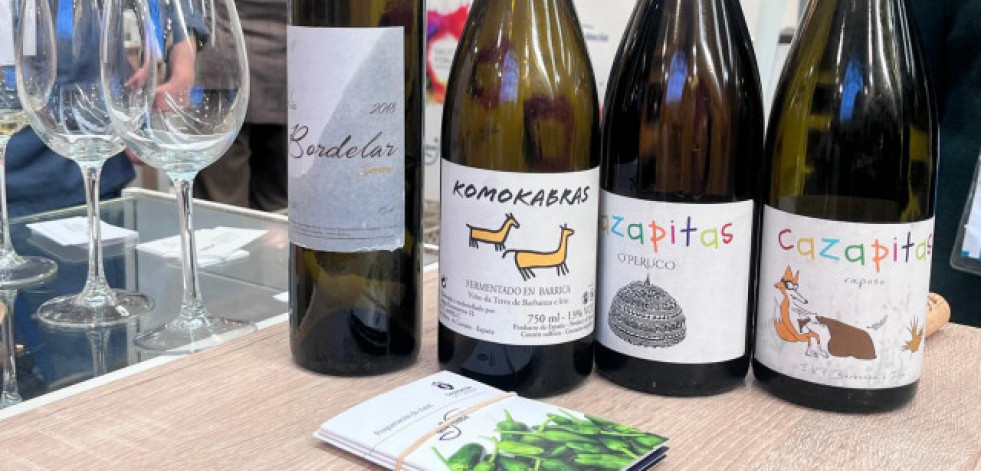 Choiva Viños: un viaje por la diversidad del vino gallego