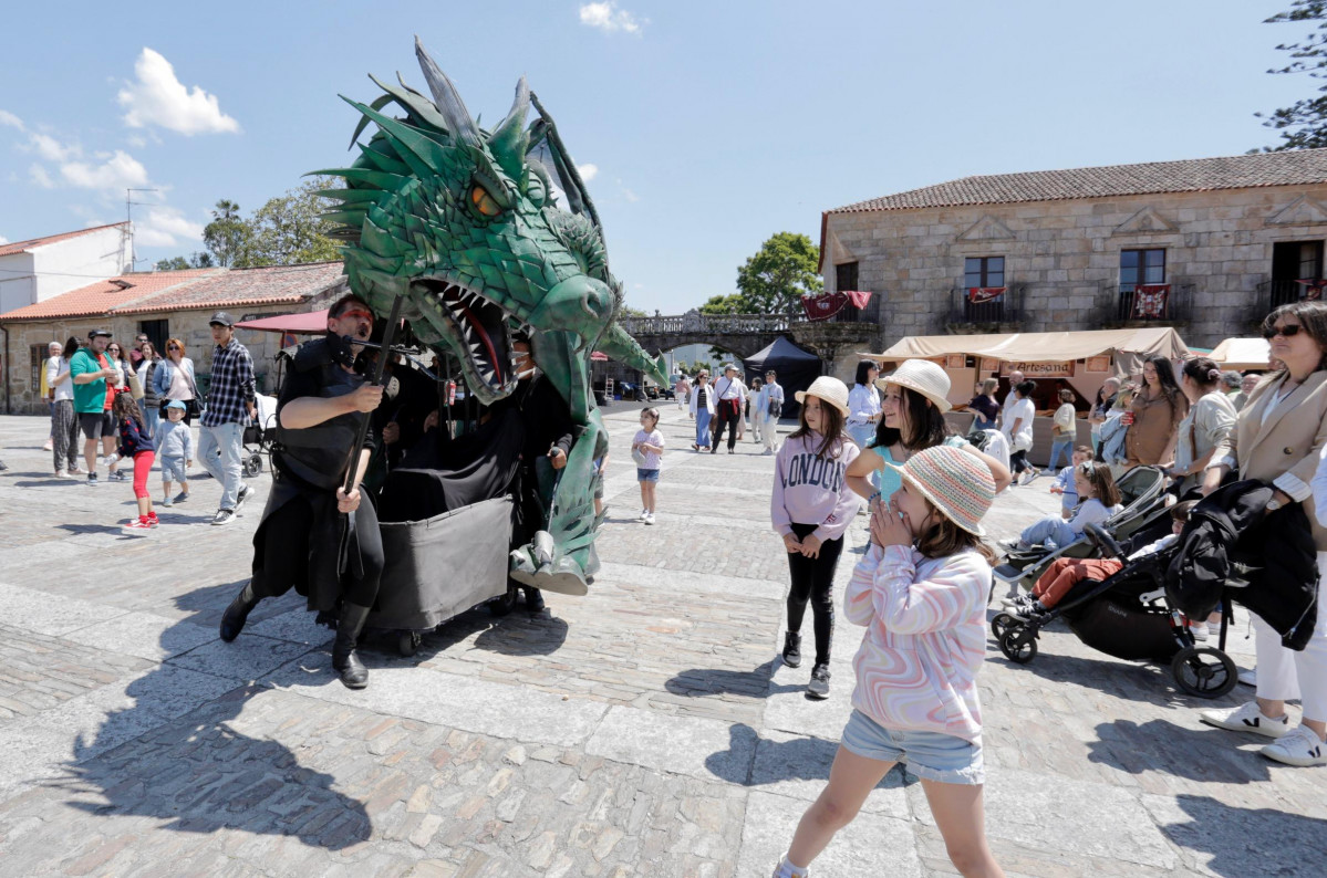 Dragón cambados histórica