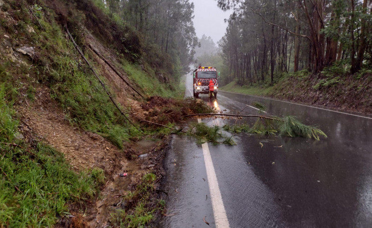 El temporal derriba árboles y daña mobiliario urbano a su paso por O Barbanza