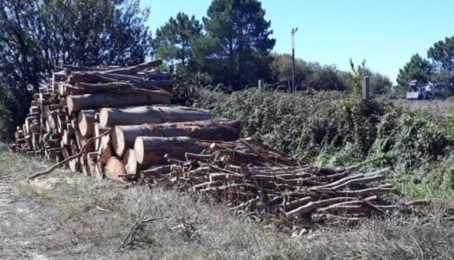 La Valedora do Pobo admite a trámite la queja de un comunero de Olveira por su situación de “indefensión”