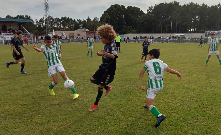 El Real Madrid alevín gana el torneo solidario Congalsa de fútbol base en Ribeira a beneficio de los niños enfermos de cáncer