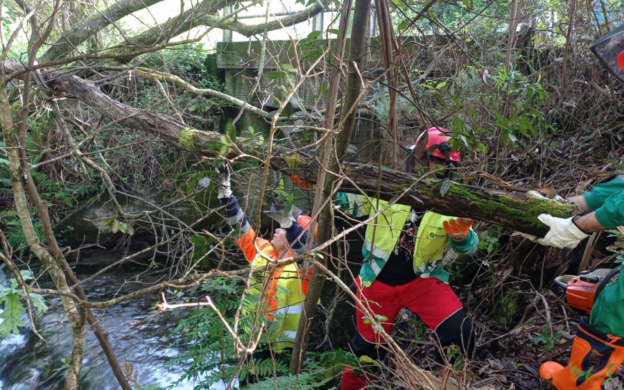 Augas de Galicia inició los trabajos de conservación y mantenimiento del río Te a su paso por Rianxo