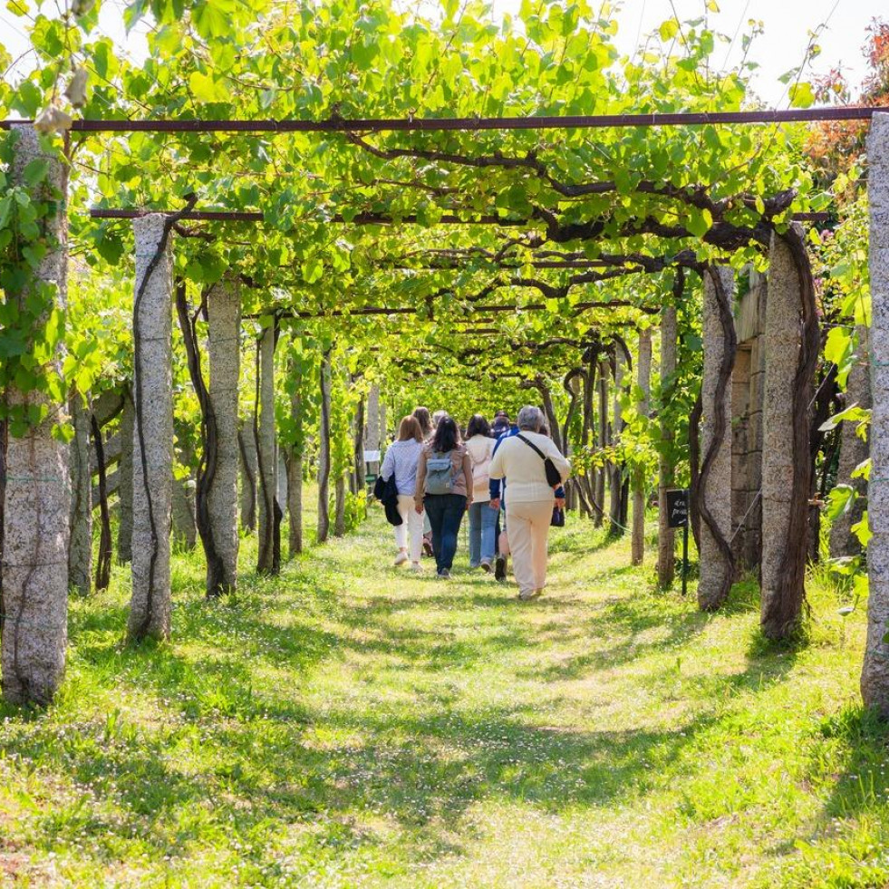 Ruta do Viño Rías Baixas oferta una experiencia enológica única para celebrar el Día del Padre