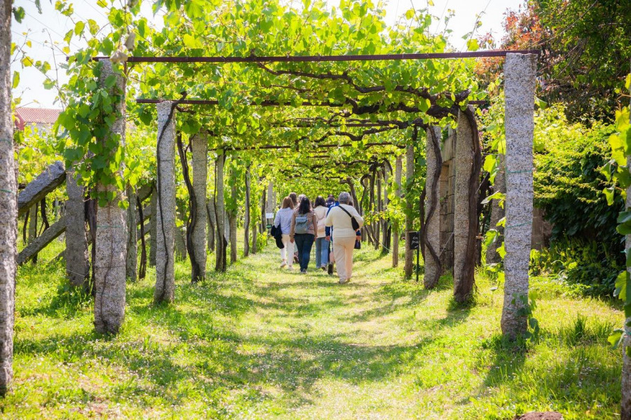 La Diputación destaca el aumento en la ayuda a la Ruta Rías Baixas hasta los 20.000 euros