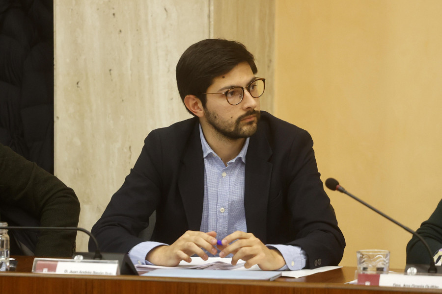 La marcha de Ana Pastor abre las puertas del Congreso al vilagarciano Juan Bayón