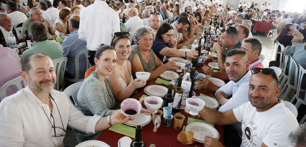 Búscate na Festa do Viño Tinto do Salnés