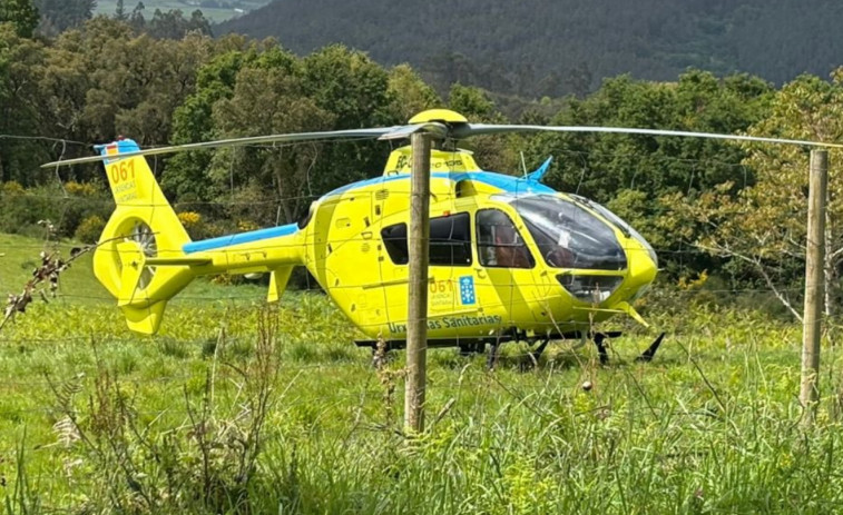 Un hombre resulta herido grave en Boiro tras ser embestido por unas vacas que iban a ser vacunadas