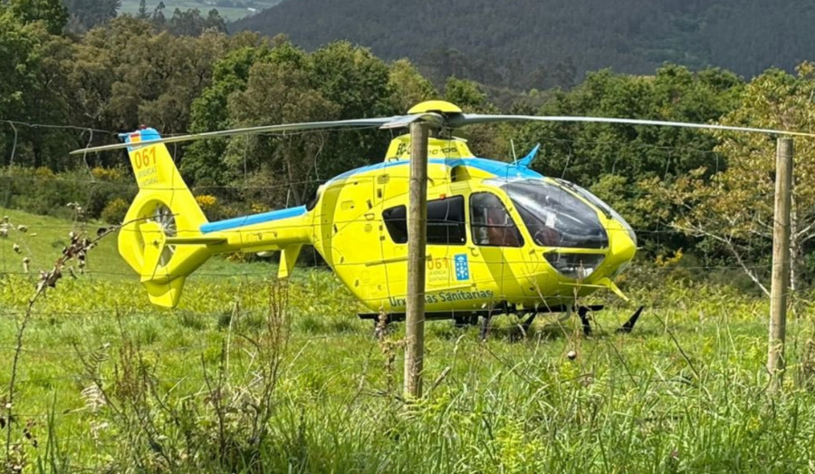 Un hombre resulta herido grave en Boiro tras ser embestido por unas vacas que iban a ser vacunadas