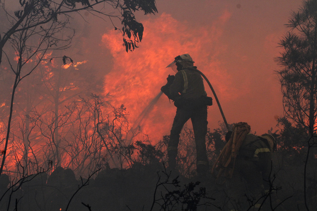 Incendio forestal bombero brigadista