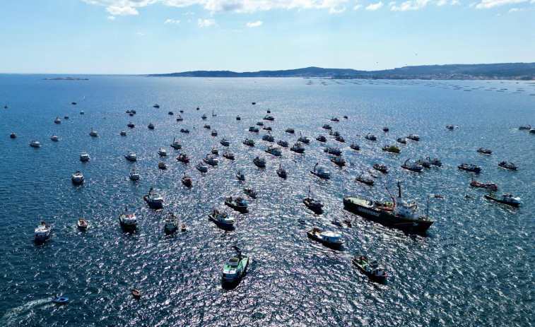 Cientos de barcos escoltan al Artic Sunrise en una reivindicativa singladura