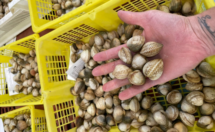 Mariscadores a flote de Cabo de Cruz niegan que faenen en la zona intermareal, pero Gardacostas los vuelve a denunciar por ello