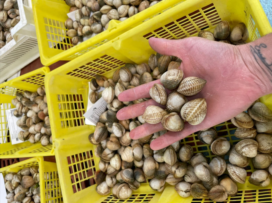 Mariscadores a flote de Cabo de Cruz niegan que faenen en la zona intermareal, pero Gardacostas los vuelve a denunciar por ello