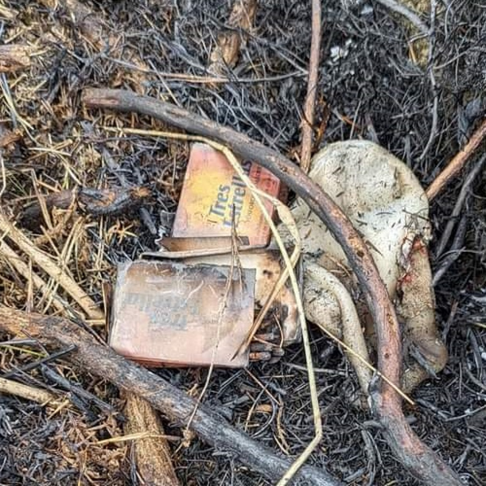 Hallan alcohol, cerillas y otras evidencias de la intencionalidad de un incendio forestal en A Illa