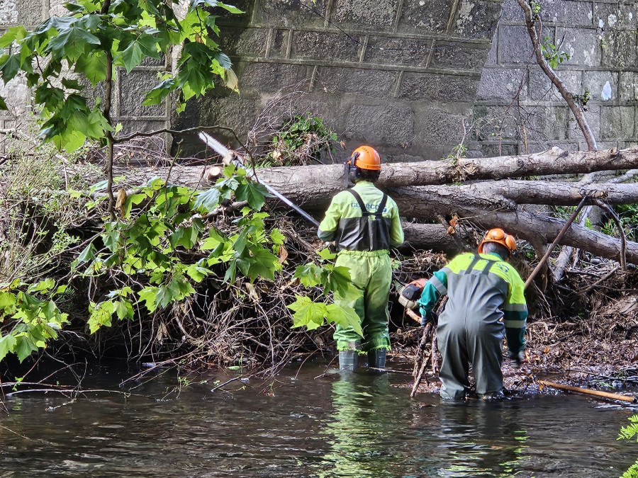 La Xunta realiza labores de conservación en un tramo del río Umia a su paso por varios concellos