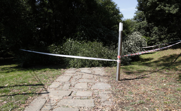 Los vecinos de Fonte da Coca denuncian el “abandono” del parque tras la caída de una rama