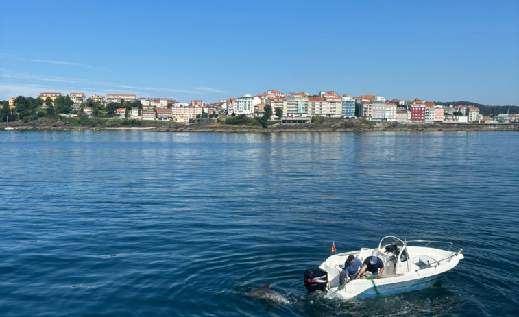 Reportaje | El día de pesca que empezó con el rescate de un delfín