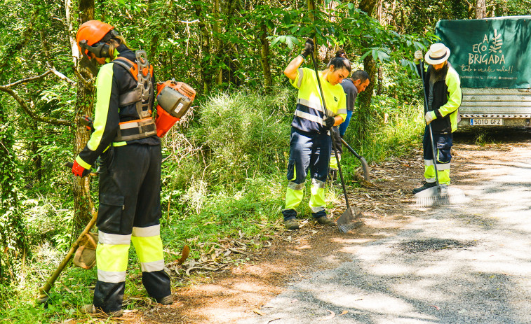 El Ayuntamiento de A Pobra confía de nuevo la roza y limpieza de sus caminos y vías a las Ecobrigadas de Amicos