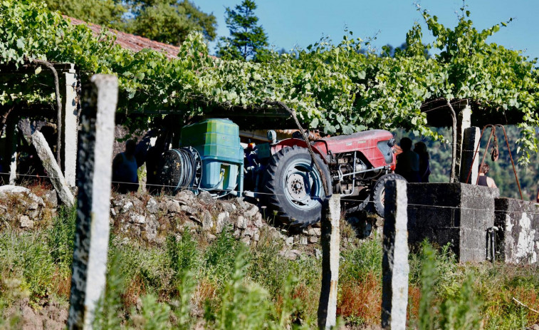 Fallece un hombre al quedar atrapado entre la vigueta de una parra y su tractor en Ribadumia