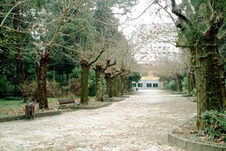 Caldas recibe 1,4 millones de euros para mejorar el Jardín Botánico y Carballeira