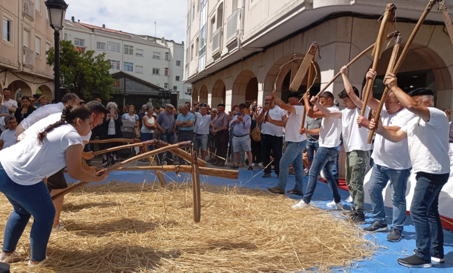 La recreación de la tradicional malla de centeno cautiva al público en las Festas do Verán de Boiro