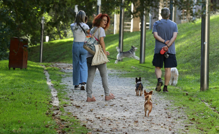 El PSOE de Vilanova propone reformar el parque de A Basella para darle la categoría de canino