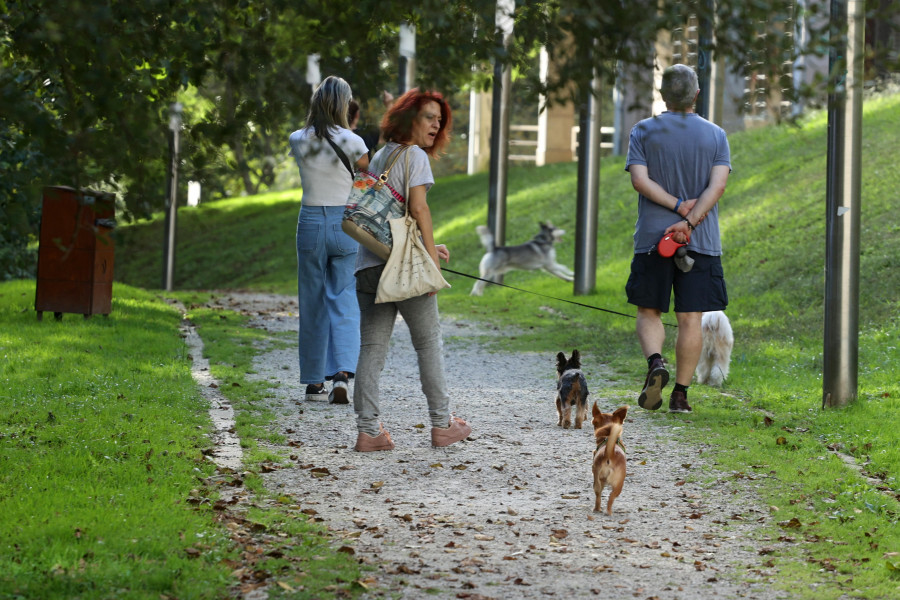 El PSOE de Vilanova propone reformar el parque de A Basella para darle la categoría de canino