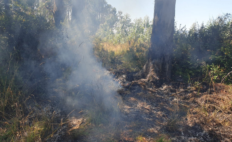 Sofocan un pequeño incendio forestal en Cambados