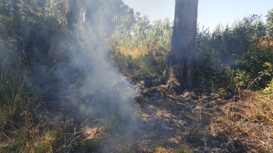 Sofocan un pequeño incendio forestal en Cambados