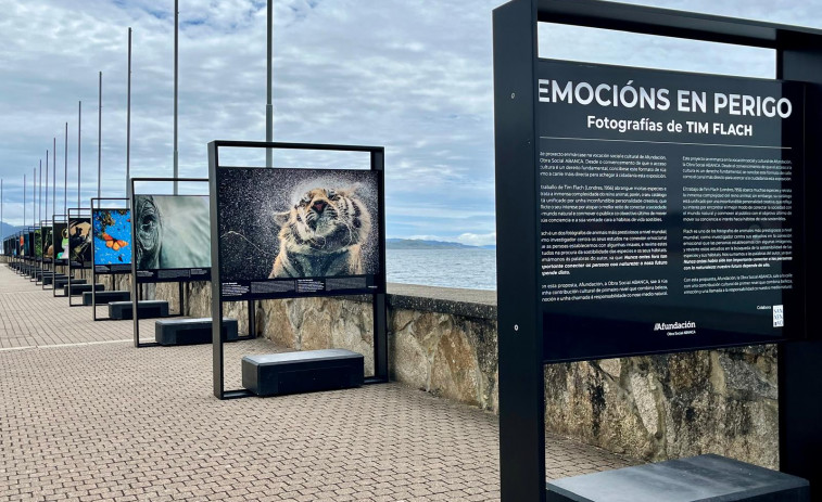 La exposición fotográfica “Emocións en perigo” decora el espigón del puerto deportivo