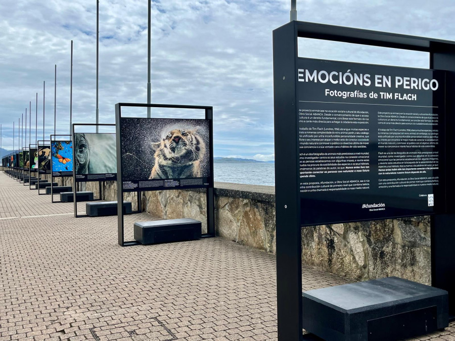 La exposición fotográfica “Emocións en perigo” decora el espigón del puerto deportivo