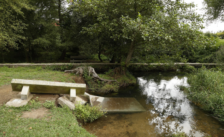 Vecinos de A Coca piden que se haga público el informe sobre el estado de los árboles del parque