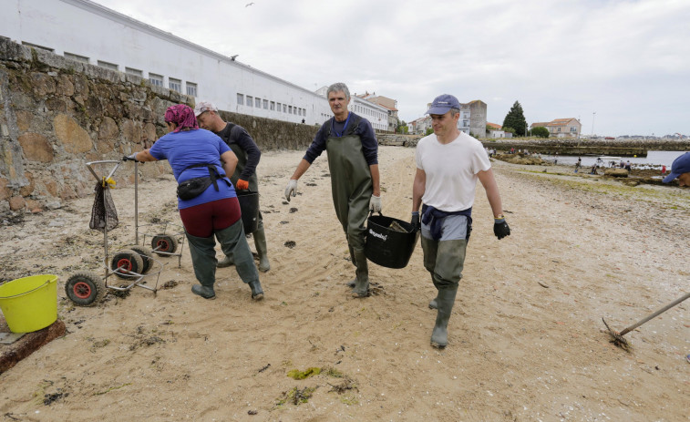 Los jóvenes de Vilaxoán buscan apoyos para limpiar la playa de O Castelete