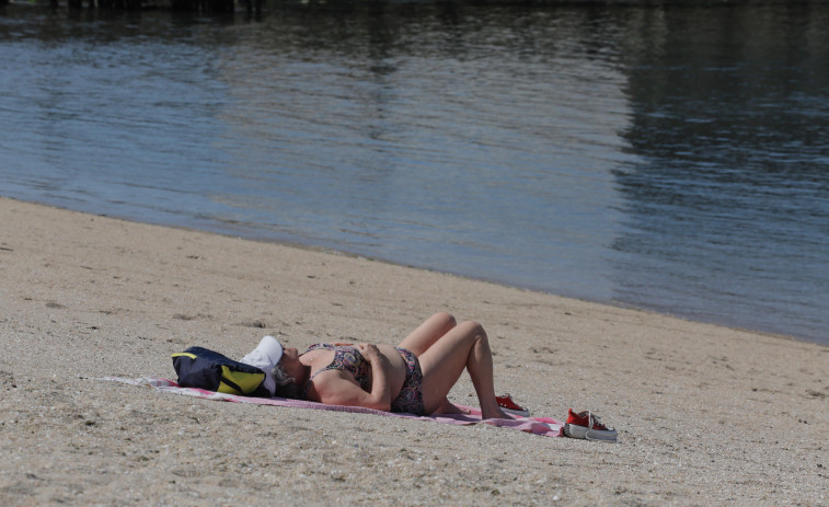 Usuarios de la playa de A Concha-Compostela denuncian la presencia de perros sueltos