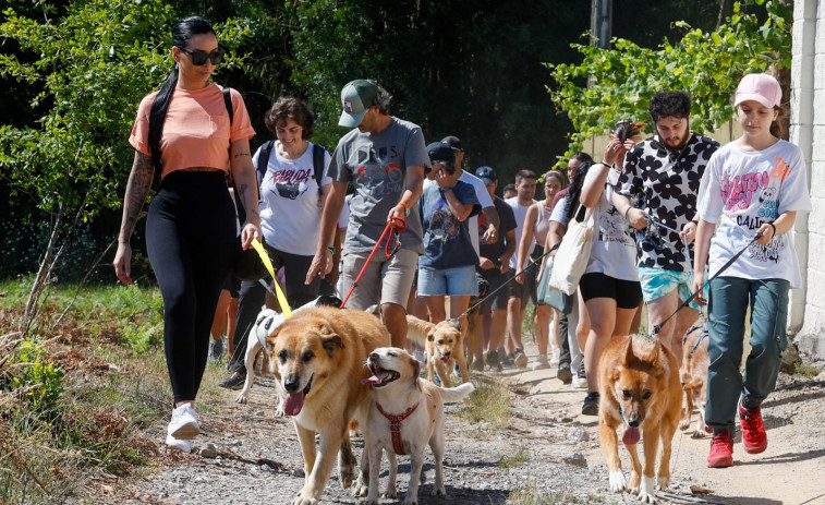 El Refugio de Cambados celebró sus 25 años con un día de actividades