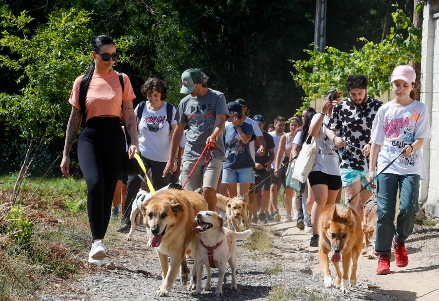 El Refugio de Cambados celebró sus 25 años con un día de actividades