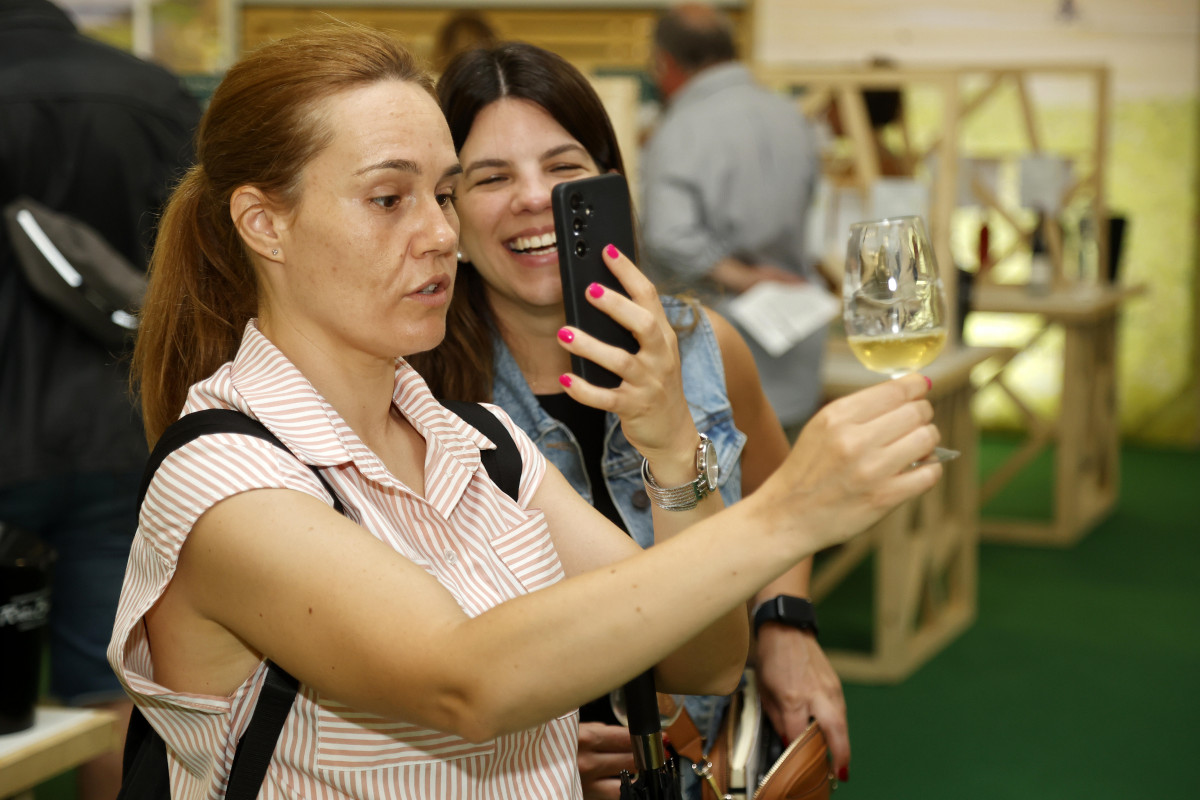 Túnel del vino festa albariño cambados