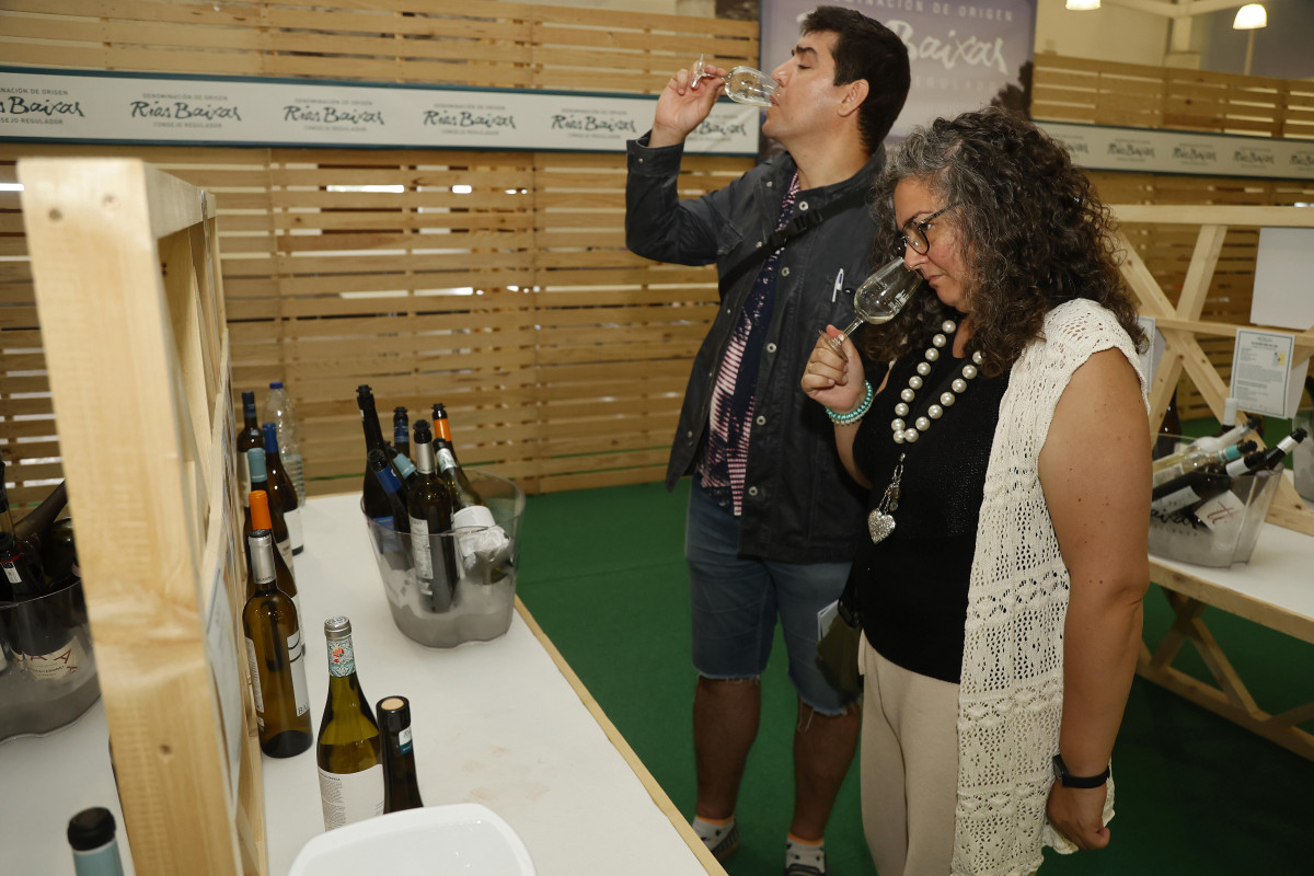 Túnel vino festa albariño cambados do rías baixas