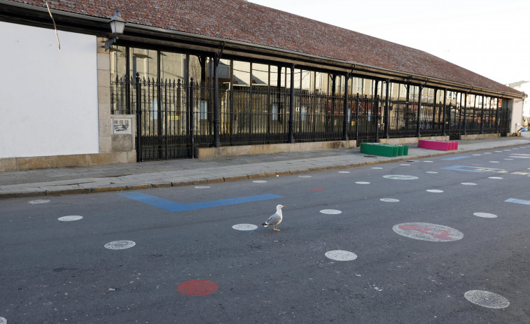 Un paseo peatonal con jardines y árboles para la Praza da Peixería de Vilagarcía