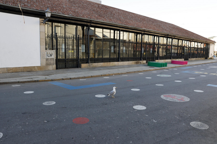 Un paseo peatonal con jardines y árboles para la Praza da Peixería de Vilagarcía