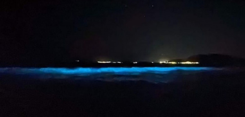 Mar de ardora o bioluminiscencia: ¿qué es y dónde ver el fenómeno natural más viral de este verano?