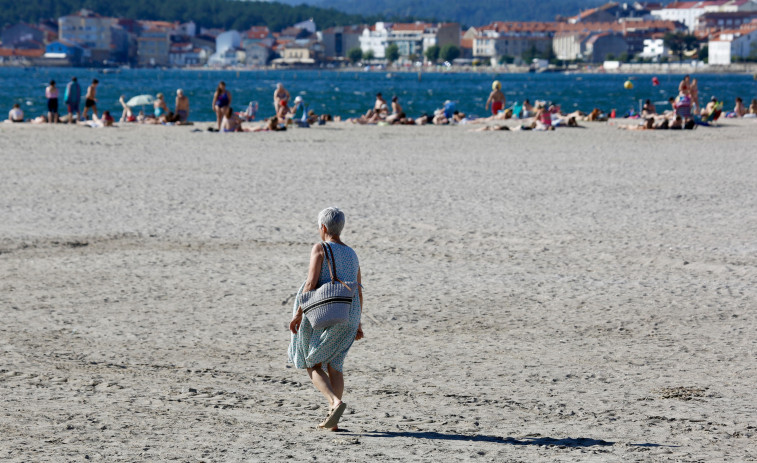 La asociación de la playa advierte que todavía hay cadillo y pide que se actúe con celeridad