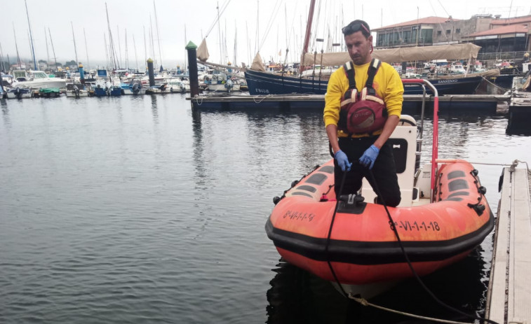 Gran expectación en la retirada de un delfín de gran tamaño varado muerto en el puerto de Sanxenxo