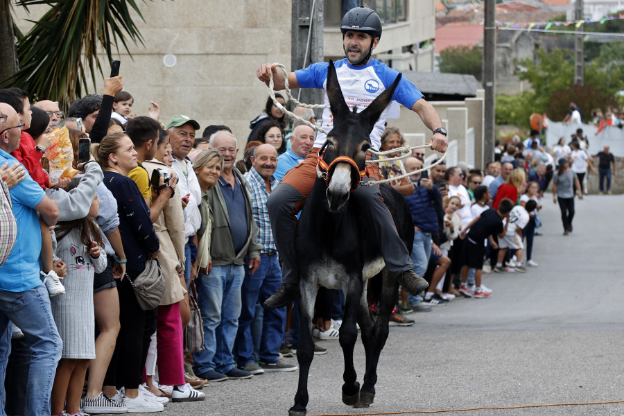 "Dinamita" se alza con el título de ganador absoluto en la Carreira de Burras de Deiro